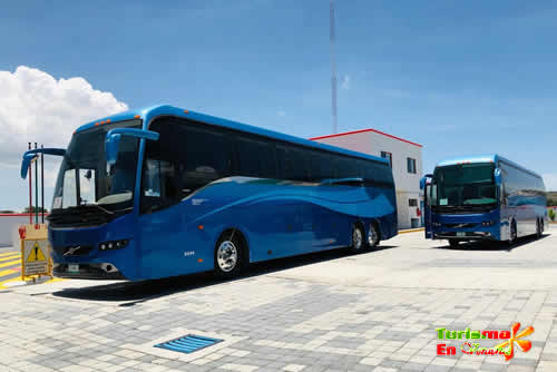 Servicio De Transportación Turística En Autobús